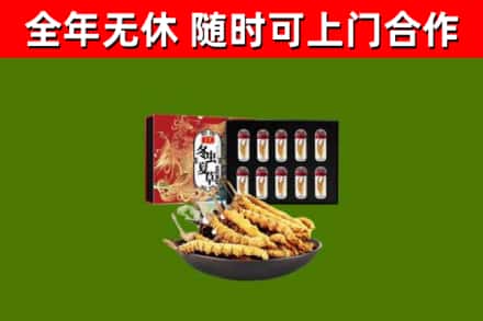 娄星区烟酒回收冬虫夏草礼盒.jpg